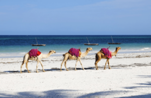 Dareen Beach