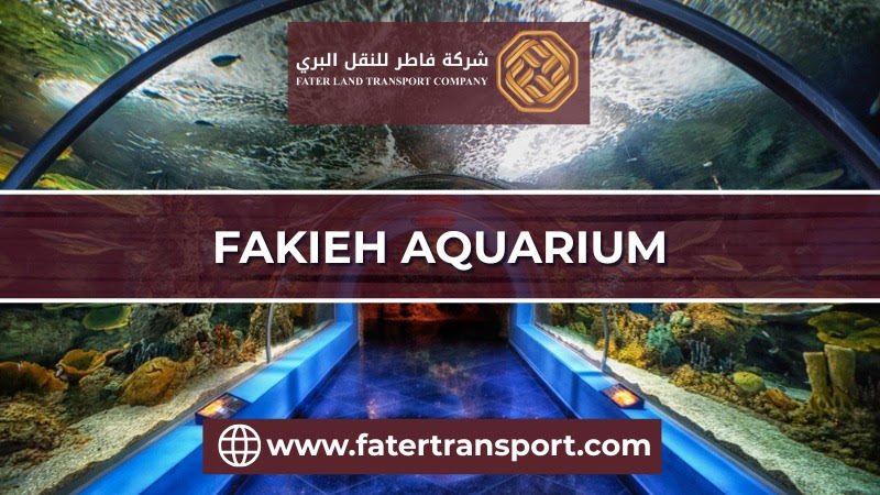 fakieh aquarium fakieh aquarium
