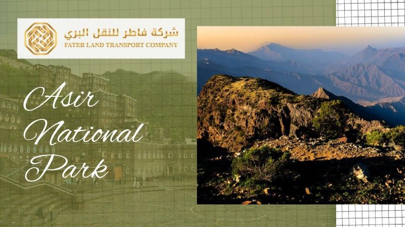 asir national park asir national park