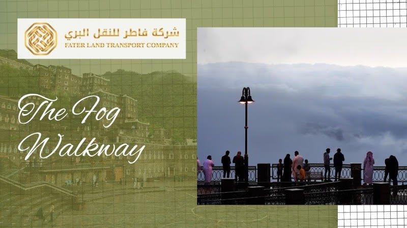 the fog walkway aseer the fog walkway aseer