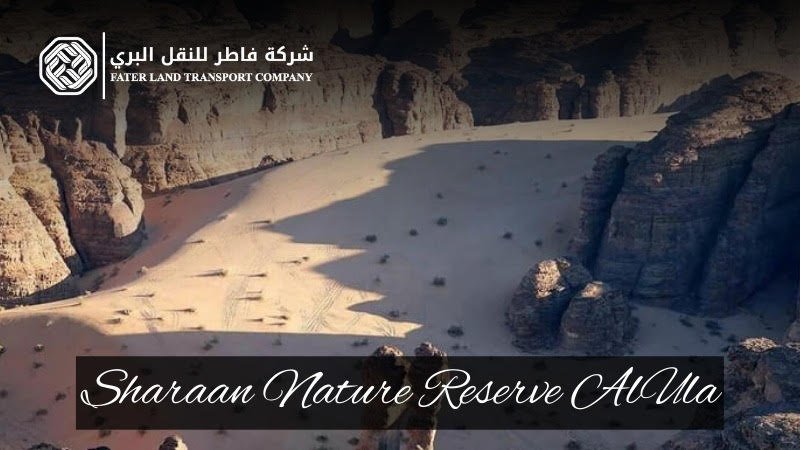 sharaan nature reserve alula sharaan nature reserve alula